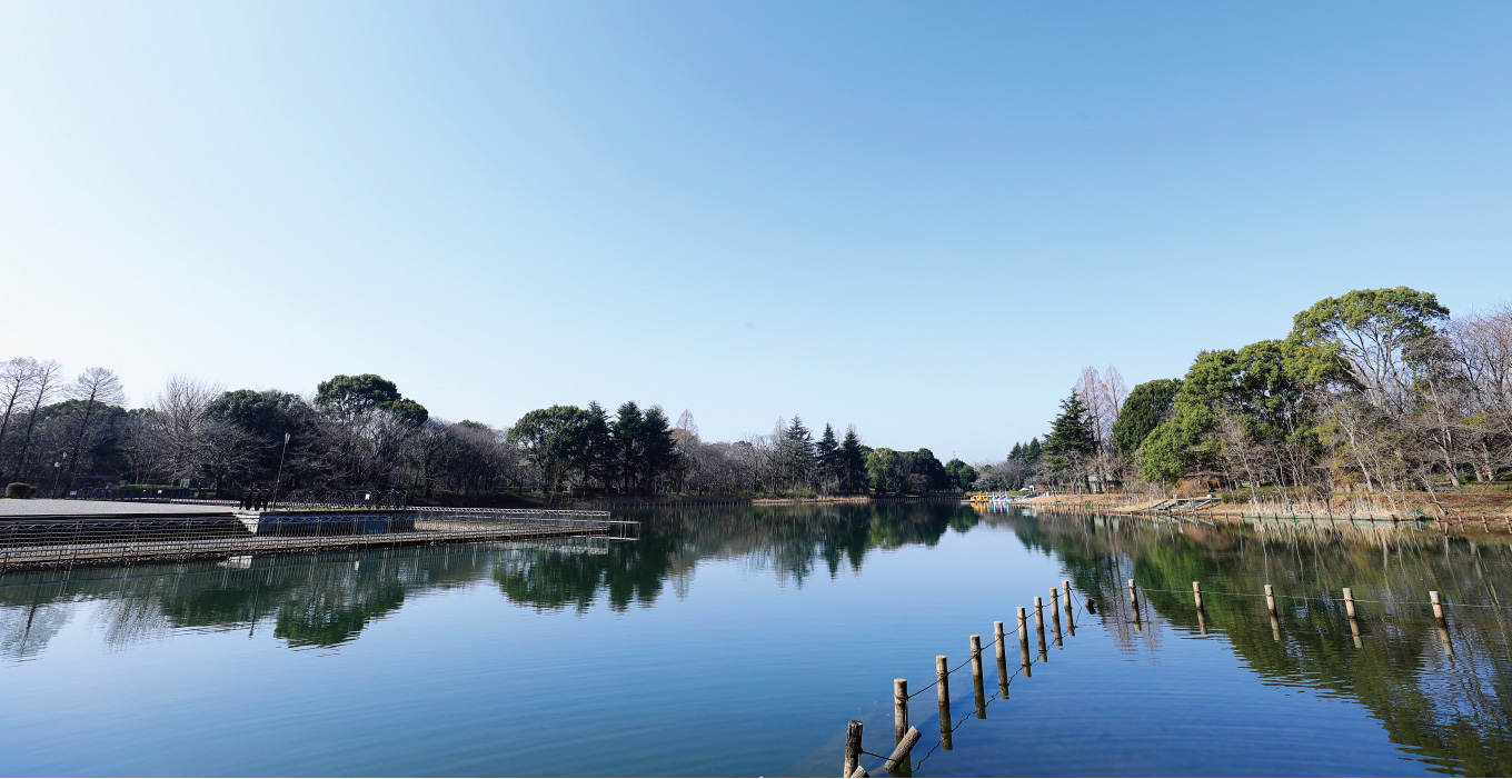 県立柏の葉公園