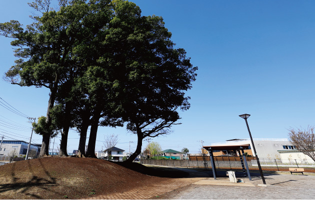 柏の葉こかげ公園