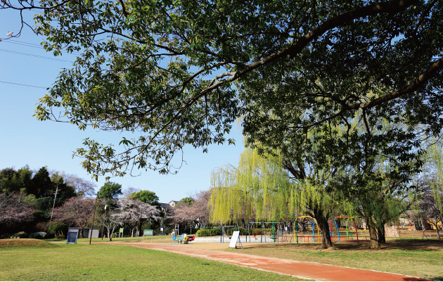 柏ふるさと公園