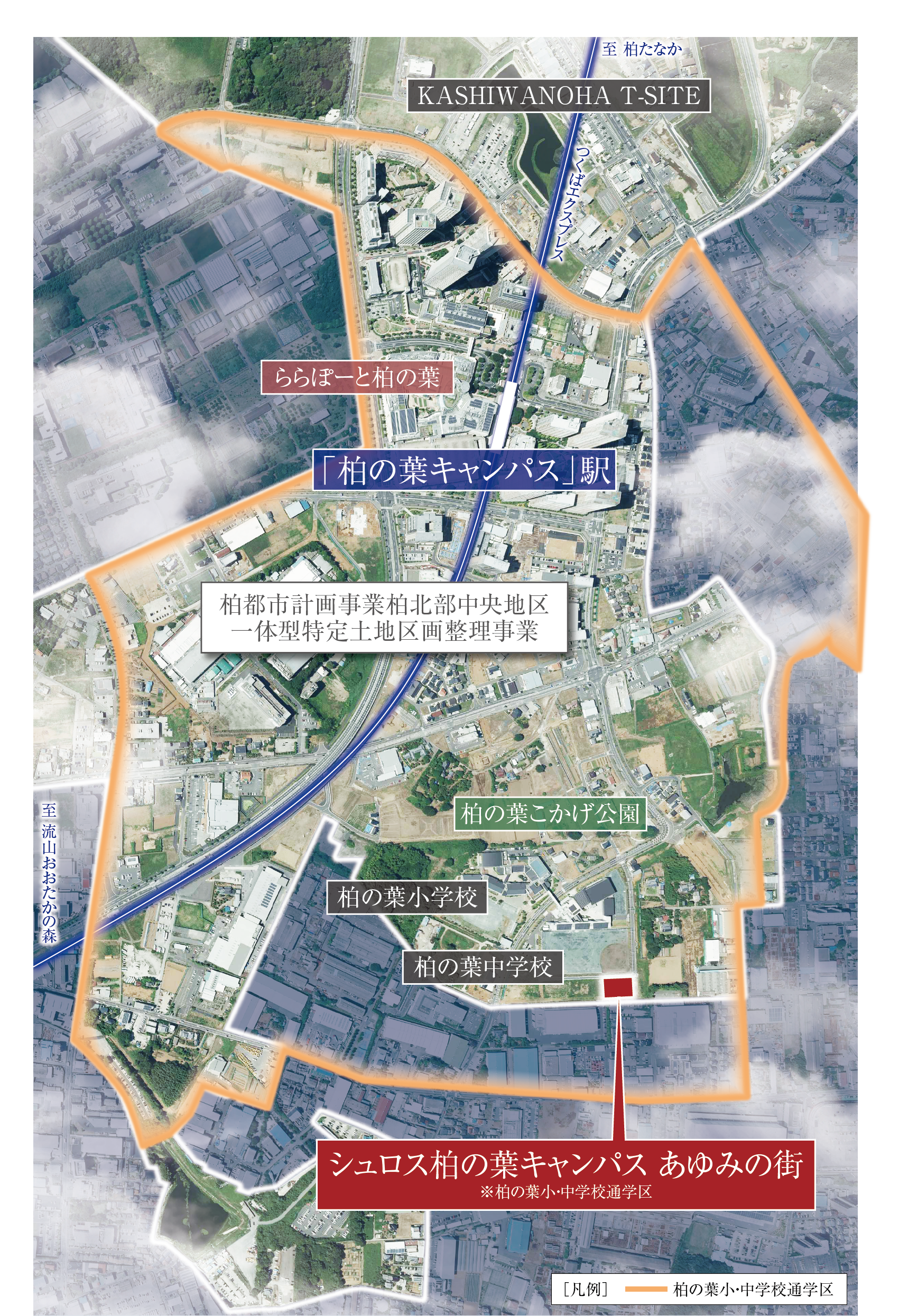 シュロス柏の葉キャンパス地図